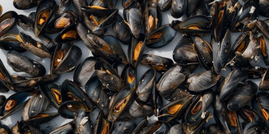 Prepare the mussels.